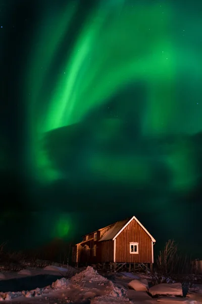 보라색의 불빛이 눈덮인 있습니다 노르웨이 로포텐 북극광 극광을 빛나는 전형적 — 스톡 사진