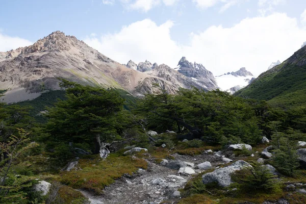 Laguna Los Tresalong Path Leads Tres Monte Fitz Roy Los — 图库照片