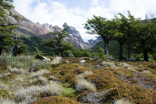 Laguna Los Tresalong Path Leads Tres Monte Fitz Roy Los — Stock fotografie