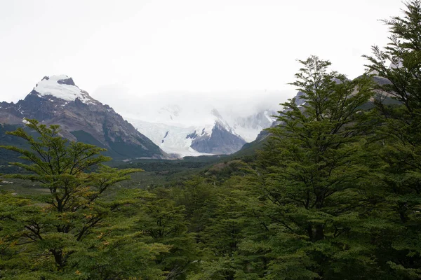 Torres Del Paine Park Narodowy Laguna Torres Słynny Zabytek Patagonii — Zdjęcie stockowe