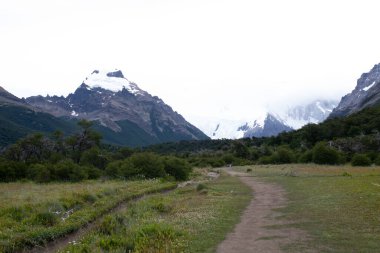 Torres del Paine, Ulusal Park Laguna Torres, ünlü patika boyunca manzara. Patagonya, Şili 'nin simgesi.