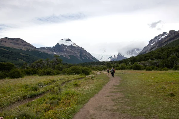 Torres Del Paine 国家公园 Laguna Torres 沿着著名的道路观看 智利巴塔哥尼亚的地标 — 图库照片