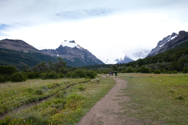 Torres Del Paine 国家公园 Laguna Torres 沿着著名的道路观看 智利巴塔哥尼亚的地标 — 图库照片