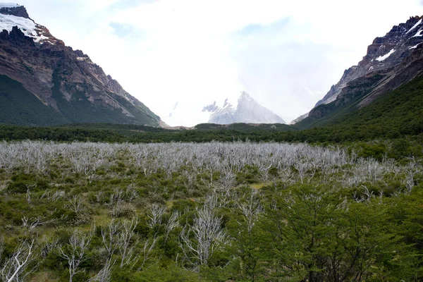 Torres Del Paine 国家公园 Laguna Torres 沿着著名的道路观看 智利巴塔哥尼亚的地标 — 图库照片