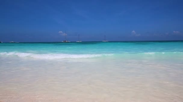 카리브해의한 섬의 하얀 모래 위를 흔들고 있는 파도. — 비디오
