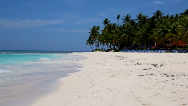 Ilhas de areia branca com coqueiros no Caribe. — Vídeo de Stock