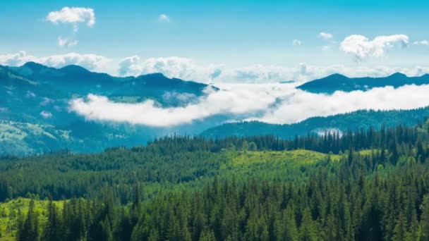山中の霧の朝 霧と雲山渓谷の風景 タイムラプス — ストック動画
