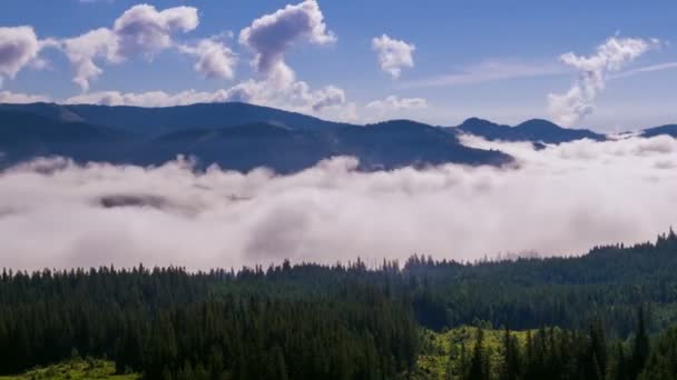 Misty Morning Bergen Dimma Och Moln Berg Dalen Landskap Timelapse — Stockvideo