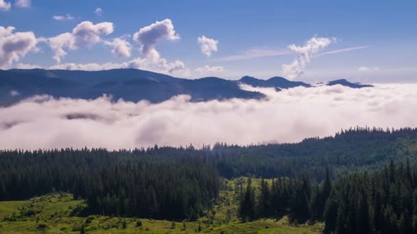 Nebliger Morgen Den Bergen Nebel Und Wolkenverhangene Berglandschaft Zeitraffer — Stockvideo