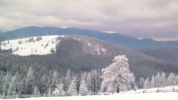 Winter Mountain Forest Background Dramatic Cloudy Sky Inglés Cronograma — Vídeos de Stock