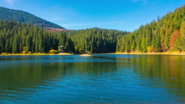 Outono Mountain Lake Com Árvores Coloridas Floresta Folhas Caídas Água — Vídeo de Stock