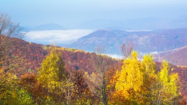 Jesienią Misty Rano Górach Mgła Krajobraz Chmura Dolina Góra Timelapse — Wideo stockowe