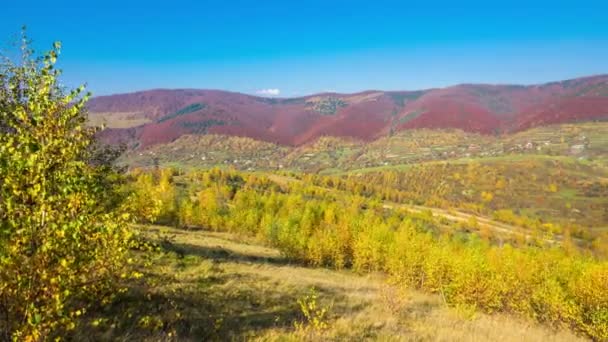 秋天的山上有五颜六色的树木 云彩和阴影 Timelapse — 图库视频影像
