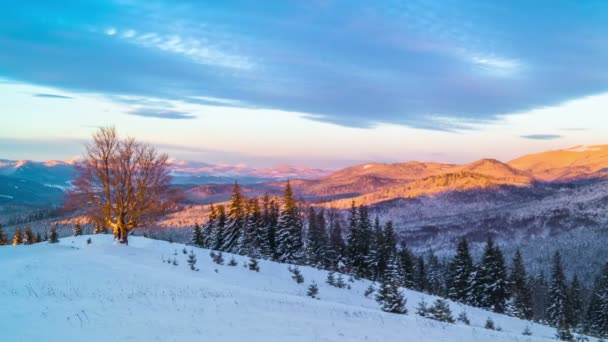 Zonsopgang Boven Het Bergbos Winter Achtergrond Van Dramatische Bewolkte Hemel — Stockvideo