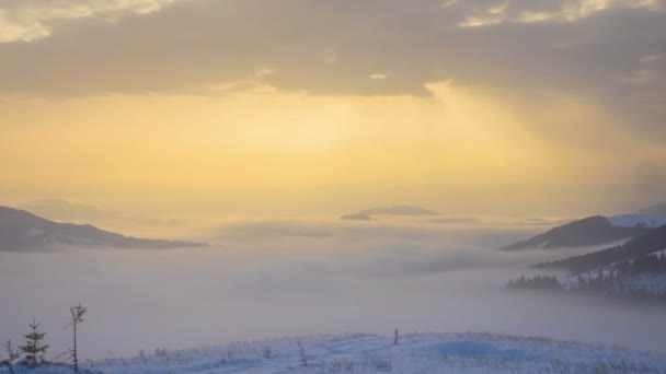 Kış Dağlar Orman Dramatik Bulutlu Gökyüzü Arka Plan Üzerinde Sisli — Stok video