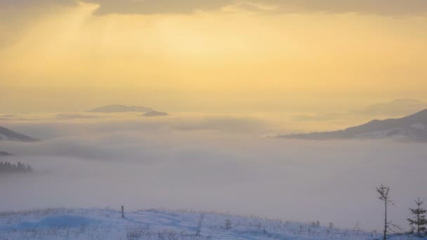 劇的な曇り空の背景に冬の山の森の霧の朝 タイムラプス — ストック動画