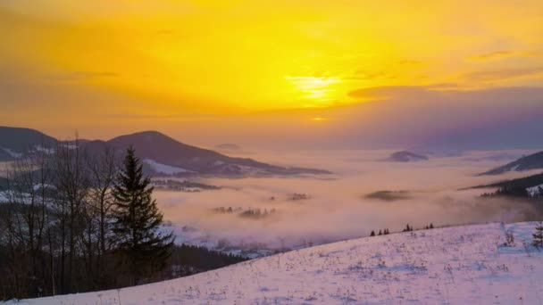 劇的な曇り空の背景に冬の山の森の霧の朝 タイムラプス — ストック動画