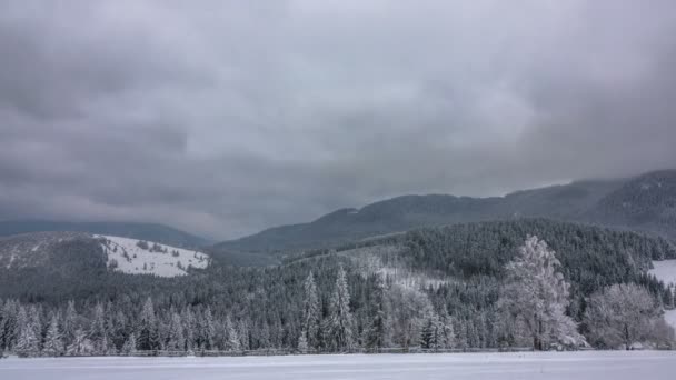 Winter Mountain Forest Background Dramatic Cloudy Sky Temps Écoulé — Video