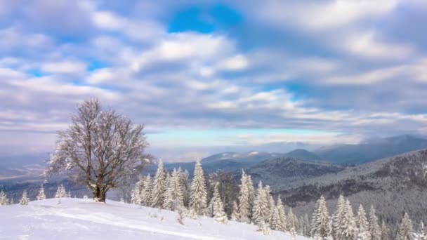 劇的な曇り空の背景に冬の山の森林 タイムラプス — ストック動画