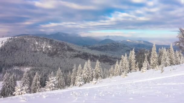 Winter Mountain Forest Background Dramatic Cloudy Sky Inglés Cronograma — Vídeos de Stock