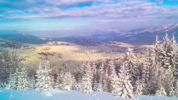 Δάσος Στο Βουνό Χειμώνα Στο Φόντο Των Δραματικών Συννεφιασμένο Ουρανό — Αρχείο Βίντεο