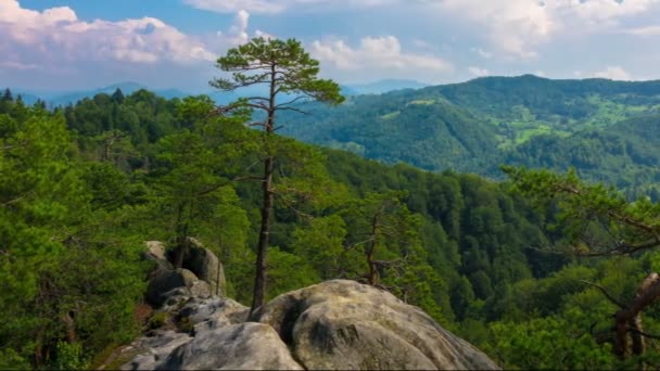 Timelapse Magnifique Paysage Montagneux Avec Des Pins Qui Poussent Sur — Video