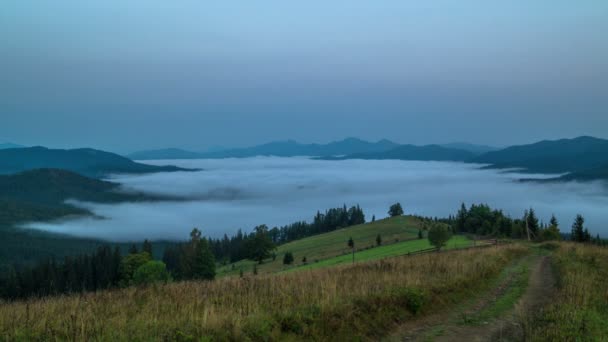 Misty Rano Górach Drzewa Samotny Polnej Drodze Pierwszym Planie Mgła — Wideo stockowe