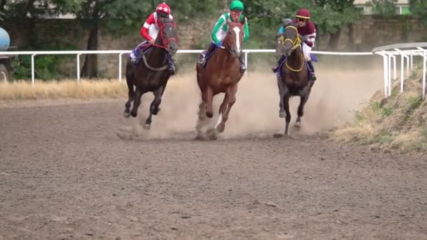 Carreras Caballos Horses Jockeys Racetrack Raising Dust Dirt Inglés Cerca — Vídeos de Stock