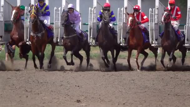 开始赛马 赛马场上的马和骑师一起扬尘和污垢 慢动作 — 图库视频影像