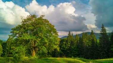 Yalnız Ağacı, Hızlı Kabarık Bulutları ve Gölgeleri olan Fantastik Dağ Manzarası. Zaman Uygulaması.