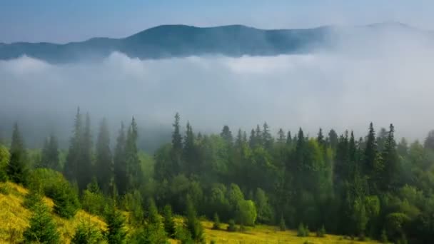 Misty Πρωί Στα Βουνά Ομίχλης Και Του Νέφους Ορεινής Κοιλάδας — Αρχείο Βίντεο