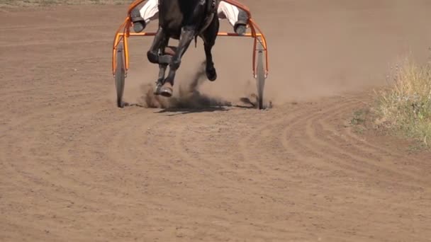 Corrida Cavalos Perto Dos Vagões Dos Cascos Cavalo Execução Movimento — Vídeo de Stock