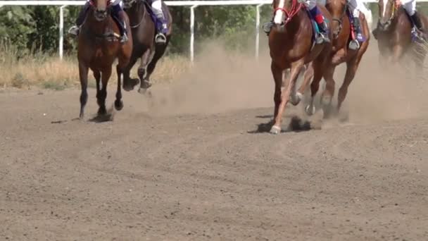 Carreras Caballos Feet Horses Racetrack Raising Dust Dirt Cerca Movimiento — Vídeo de stock