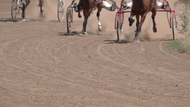 Hästkapplöpning Närbild Vagnarna Och Hovarna Löparhäst Långsamma Rörelser — Stockvideo
