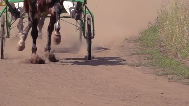 Hästkapplöpning Närbild Vagnarna Och Hovarna Löparhäst Långsamma Rörelser — Stockvideo