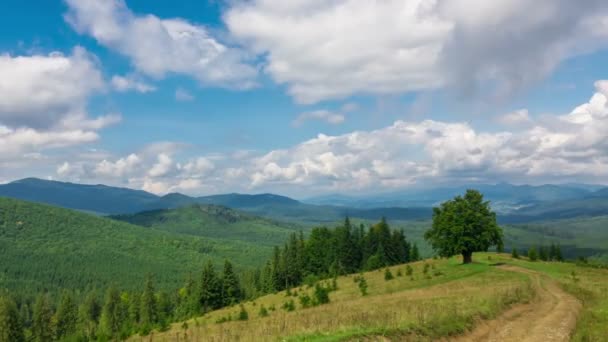 Fantástico Paisaje Montaña Brumoso Con Nubes Sombras Veloces Esponjosas Cronograma — Vídeos de Stock