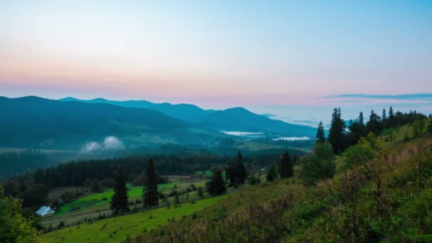 Traumhafter Sonnenaufgang Über Dem Sommerlich Nebligen Bergwald Vor Dem Hintergrund — Stockvideo