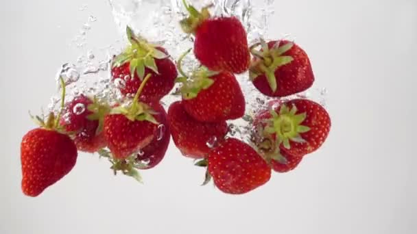 Ωρίμασε Φράουλες Που Πέφτουν Μέσα Στο Νερό Φωτεινό Φόντο Αργή — Αρχείο Βίντεο