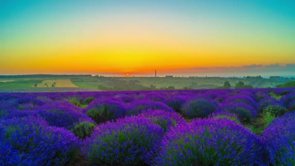 Tiempo Caducidad Del Amanecer Sobre Campo Lavanda — Vídeos de Stock