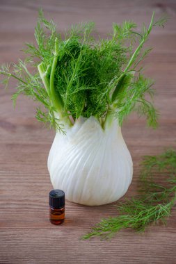 rezene uçucu yağ küçük cam şişe ve ampul ahşap arka plan üzerinde