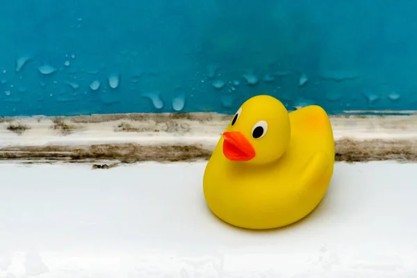 Muffa in bagno, un giocattolo di anatra in un bagno sporco — Foto Stock