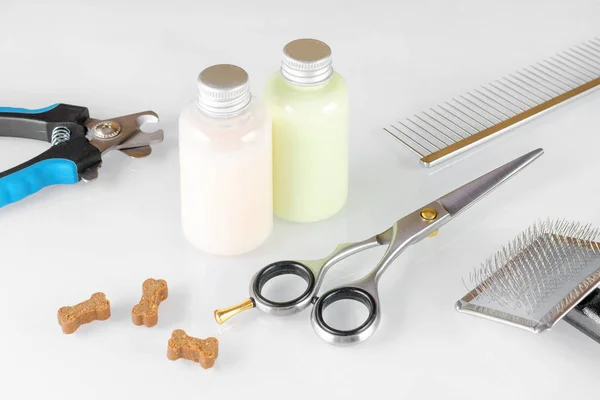 Ножницы с щеткой и расчёской для ухода за кожей, шампунем и собачьими лакомствами — стоковое фото