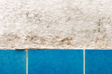 moldy wall in bathroom with blue tile closeup clipart