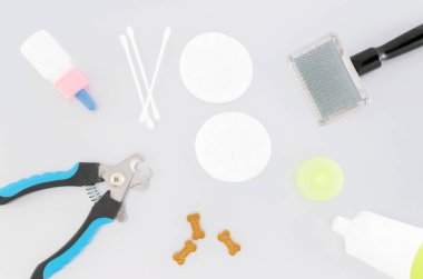 evcil hayvan hijyen ürünleri, pamuk çubukları ve slicker ve diş macunu ile pedleri