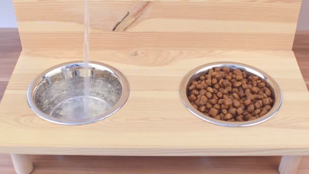 Water pouring into a bowl for pets and dried food — Stock Video