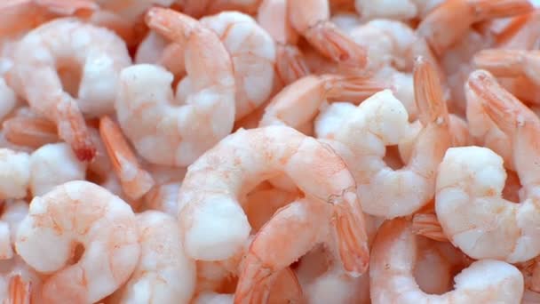 Shrimp food background closeup, rotation, selective focus — Stock Video
