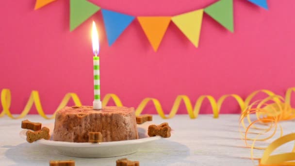 Boldog születésnapot torta részére kutya-ból nedves étel és kezel-val gyertya-ra rózsaszín csapat háttér — Stock videók