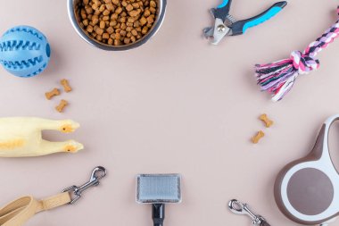 evcil hayvanlar için kurutulmuş gıda, tarak ve oyuncaklar, kopyalama alanı