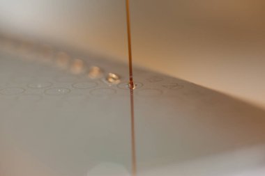 Bir bilim adamı ya da kimyager bir levhadaki maddelerin kimyasal reaksiyonlarını gözlemler. Pipete odaklan.