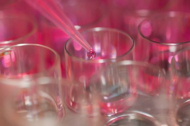 Laboratuvarda borulama mikro plakası